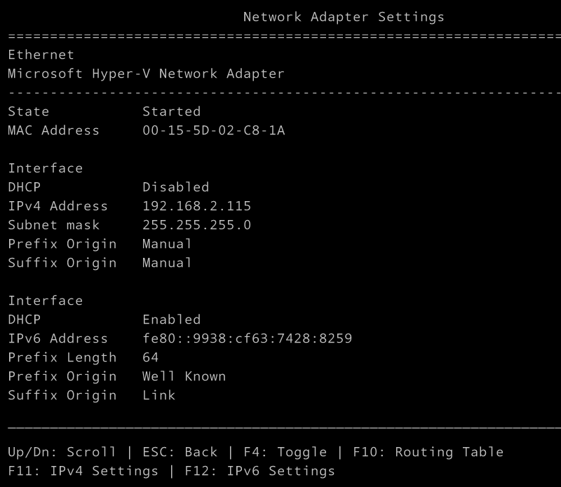 Nano Server Network Adapter Settings